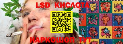 ГАЛЛЮЦИНОГЕННЫЕ ГРИБЫ Тара